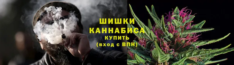 сколько стоит  Алатырь  Каннабис OG Kush 